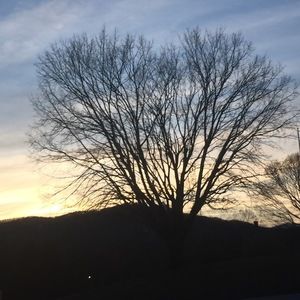 Meet your Posher, Khloe